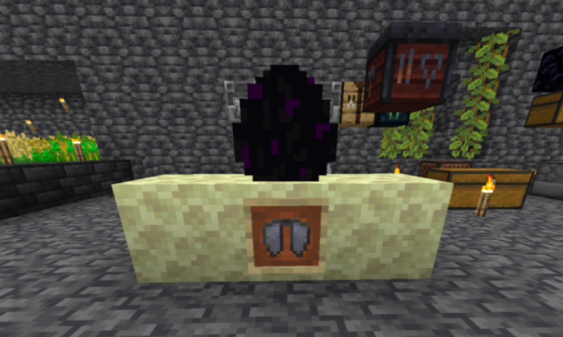 screenshot of the dragon egg and a pair of elytras in my base